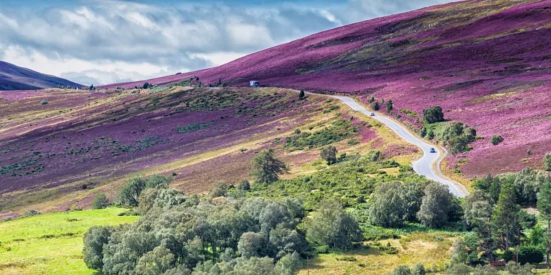 Sometimes a place just makes you breathe a little deeper. Scotland&rsquo;s landscapes have this kind of magic, quiet, colorful, and completely unforgettable.