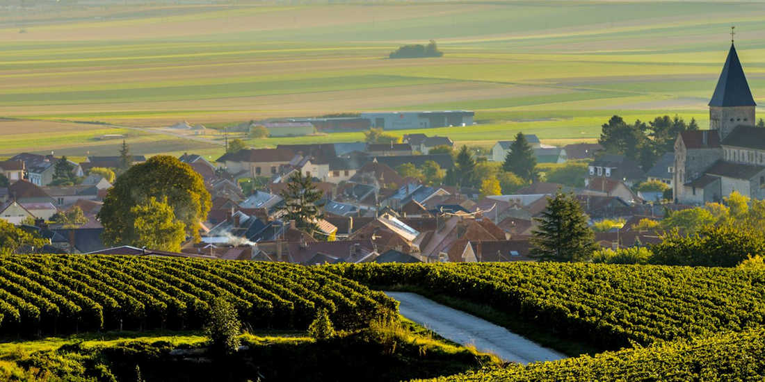 From vineyard rows to village squares, this is France at its most authentic and flavorful.