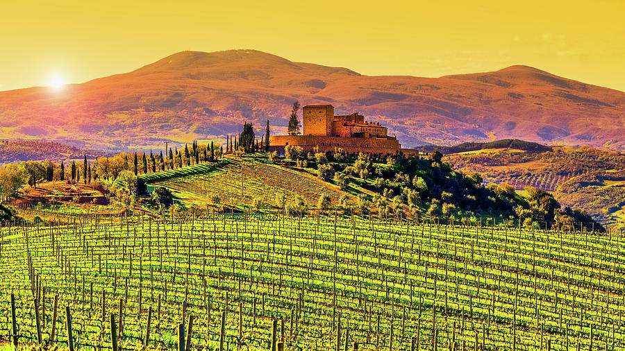Sunlight bathes the Tuscan countryside, highlighting the vibrant green vineyards and ancient stone structure.