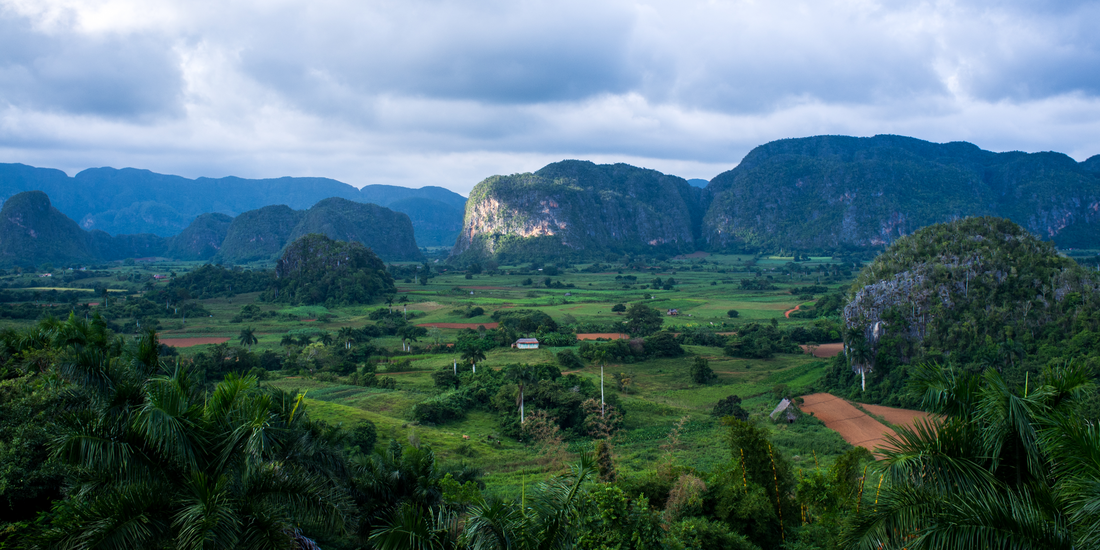 Lush green fields and limestone mogotes in Vi&ntilde;ales Valley Cuba under dramatic cloudy skies