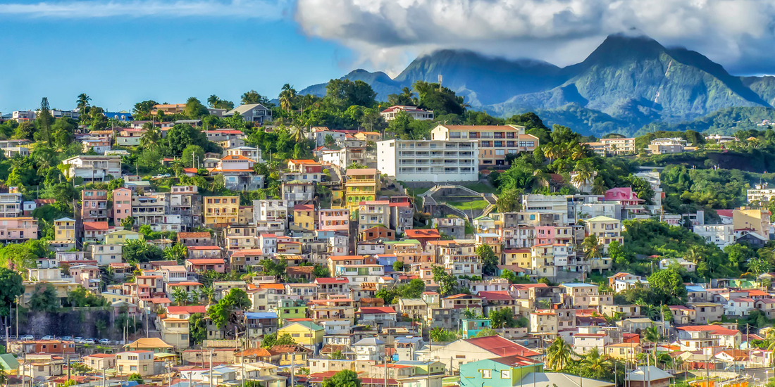 Colorful hillside town in Martinique with tropical greenery and mountain landscape in the background