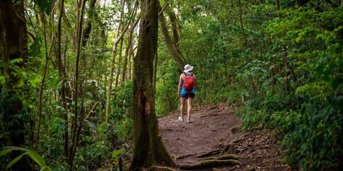 Hiking through Montserrat reveals the island&rsquo;s raw landscape, where nature replaces crowds and each trail adds depth to the experience.