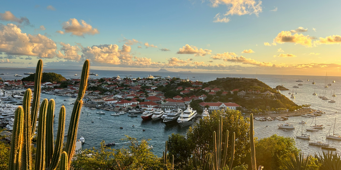 Sunset view over Gustavia Harbor in Saint Barts with yachts, red roof buildings, and cactus in foreground.